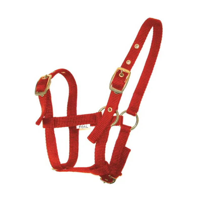 JHL Comfort Web Foal Headcollar - Red